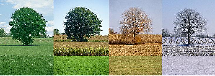 社交恐怖生存游戏《黑暗逃生2》新预告 年内登陆Steam和主机