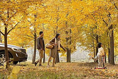 征服未探索的“喵勒比”海域——《猫咪斗恶龙III》现已上线