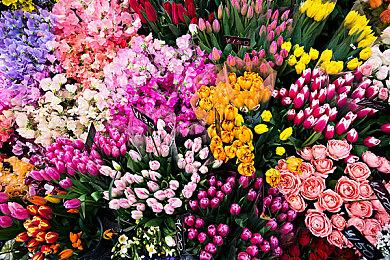 外媒分析《碧姬公主：表演时刻》由Good-Feel开发