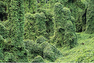 最长24小时 任天堂Switch2语音聊天功能存在时长限制